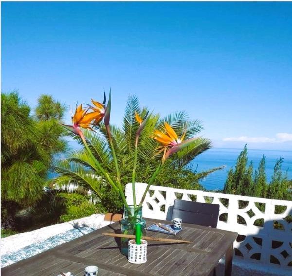 Zenrepublic, Your Private Villa With Outdoor Jacuzzi & Pool With Stunning Ocean Views Puntillo Del Sol 外观 照片
